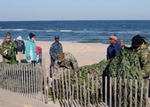 Sailors assigned to Construction Battalion Maintenance Unit 202 and civilians with the Environmental Division at Joint Expeditionary Base Little Creek-Fort Story, place recycled Christmas trees at "E" Beach at Joint Expeditionary Base Little Creek-Fort Story. The recycled trees are used to preserve sand dunes and prevent erosion. (Photo by: Seaman Tamekia Perdue) Photograph by Wikimedia, distributed under a CC-BY 2.0 license.