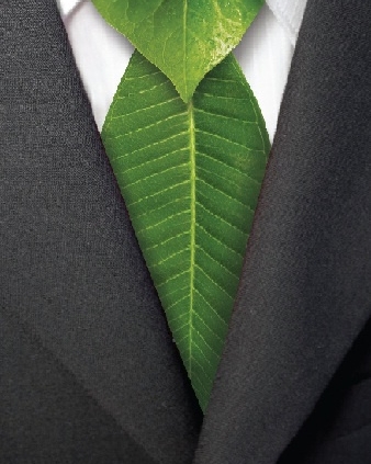 Sustainability Ties