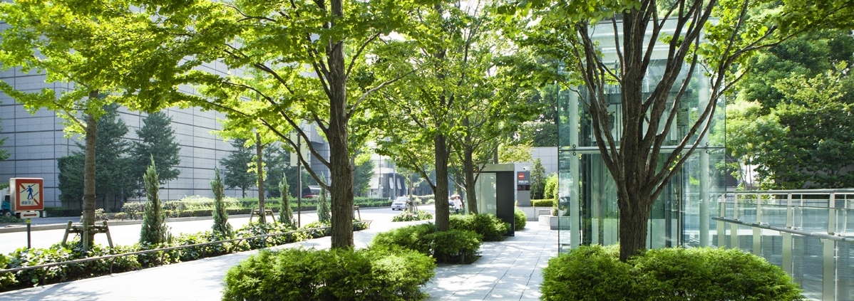 A city park with trees