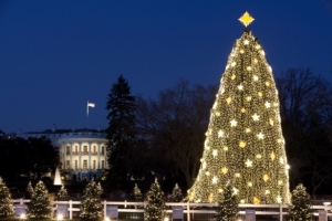 The White House serves as a backdrop for the National Christmas Tree on the Ellipse in Washington, D.C., Dec. 16, 2009. (Official White House Photo by Chuck Kennedy) This official White House photograph is being made available only for publication by news organizations and/or for personal use printing by the subject(s) of the photograph. The photograph may not be manipulated in any way and may not be used in commercial or political materials, advertisements, emails, products, promotions that in any way suggests approval or endorsement of the President, the First Family, or the White House.