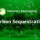 Carbon Sequestration