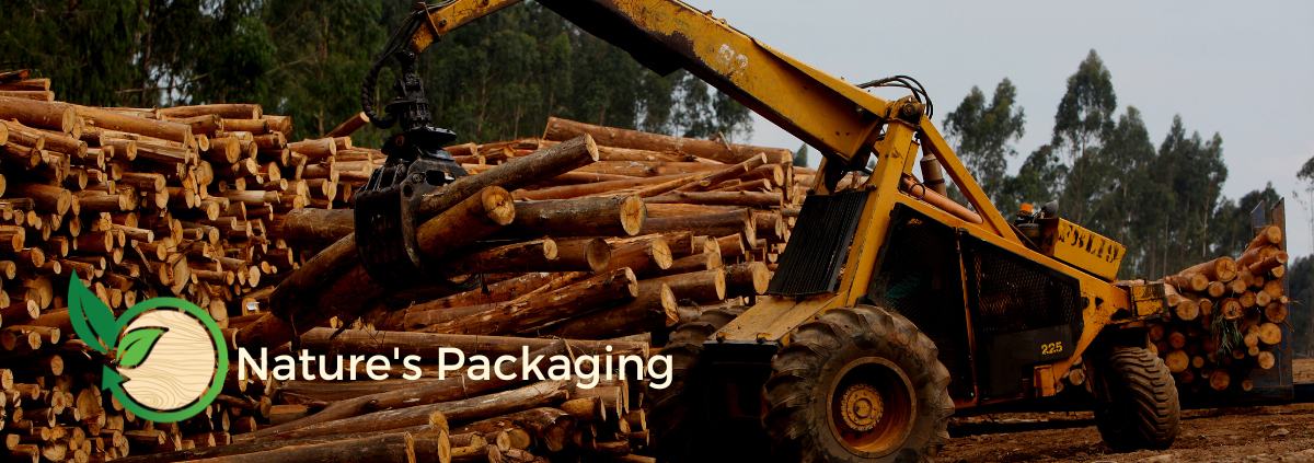 Sustainable Logging Practices – Nature's Packaging