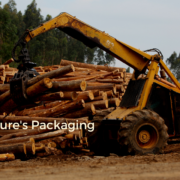 Sustainable Logging Practices