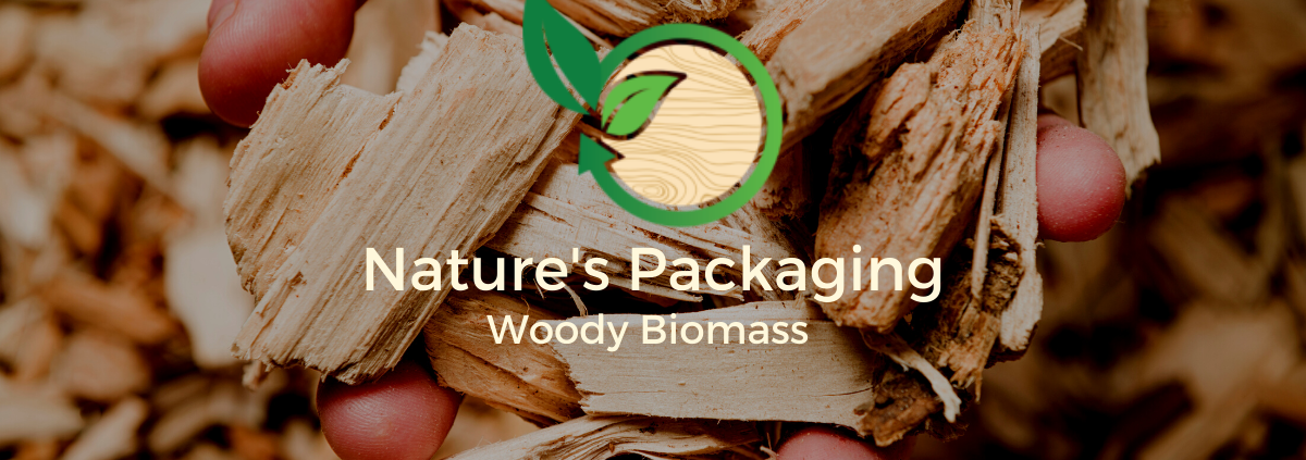 Wood biomass