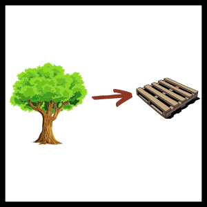 tree and a wood pallet