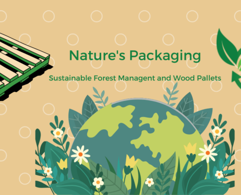 Wood Pallets 101 – Nature's Packaging